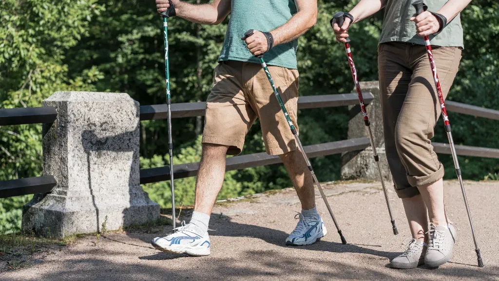 dwie osoby uprawiające nordic walking
