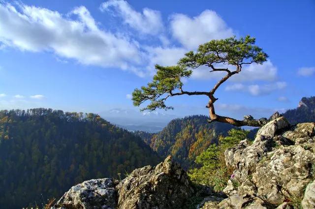 Pieniny co warto zobaczyć i jakie trasy wybrać?